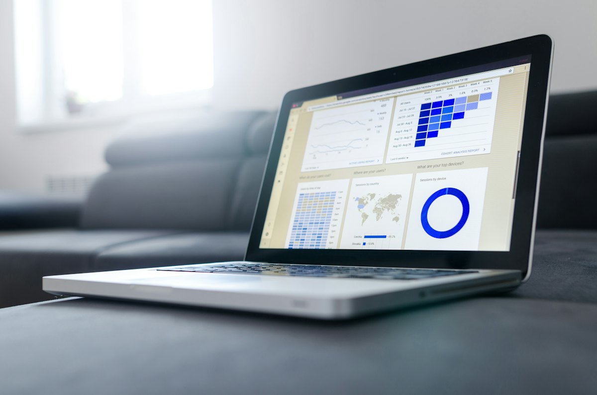 Charts and graphs representing website performance