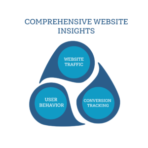 Comprehensive Website Insights