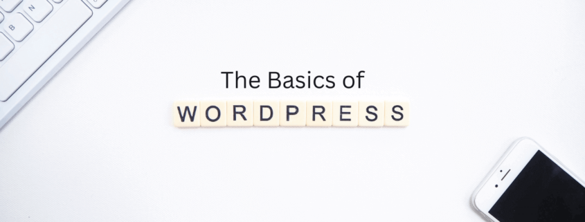 Basics of WordPress