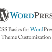 CSS Basics for WordPress Theme Customization