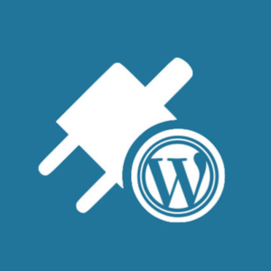 What are WordPress Plugins